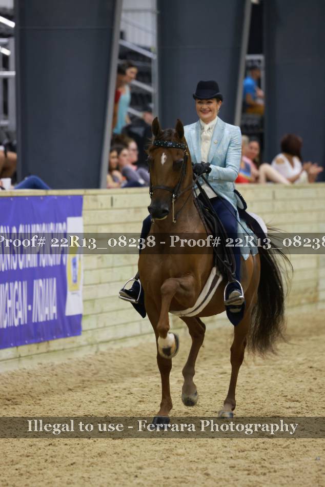 Proof 22R13_08238