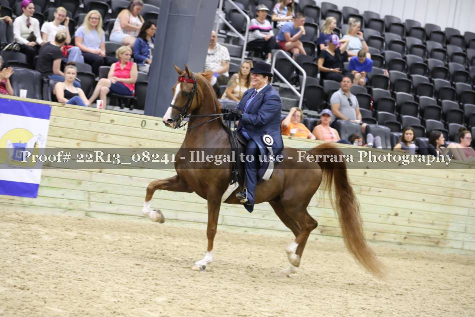 Proof 22R13_08241