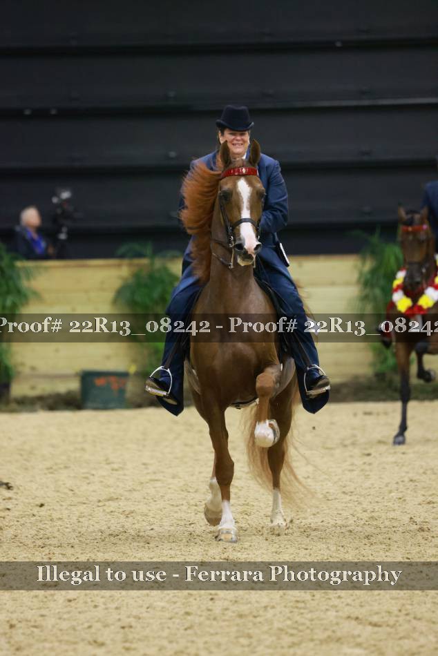Proof 22R13_08242