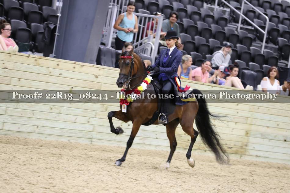 Proof 22R13_08244