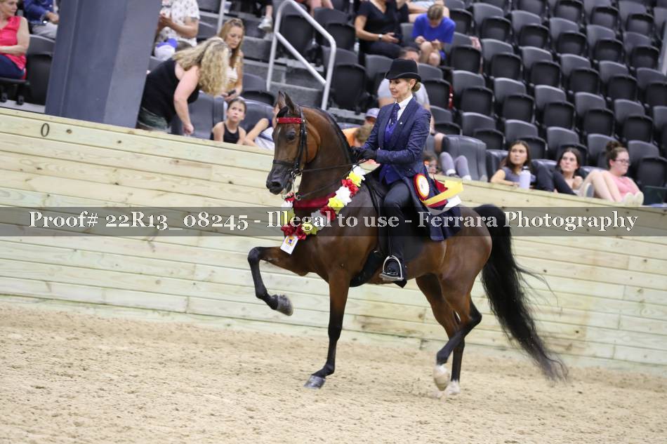 Proof 22R13_08245