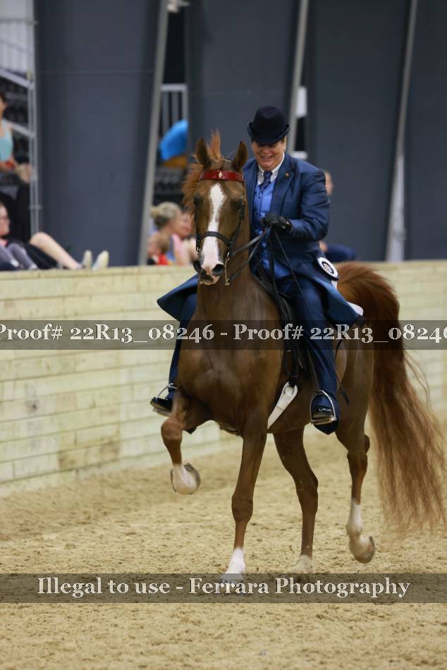 Proof 22R13_08246