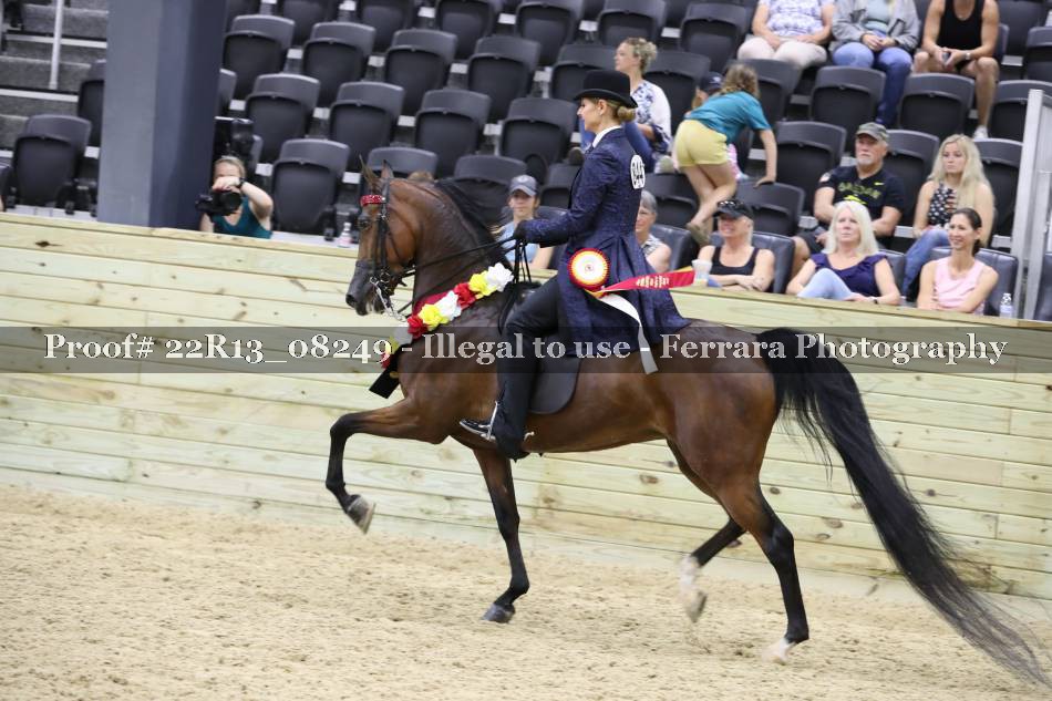 Proof 22R13_08249