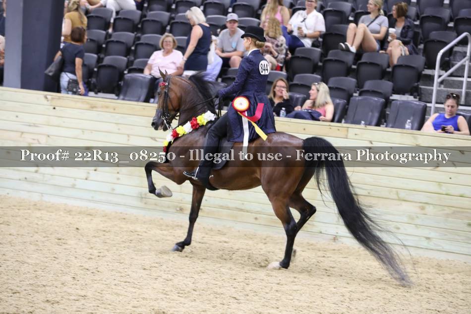 Proof 22R13_08250