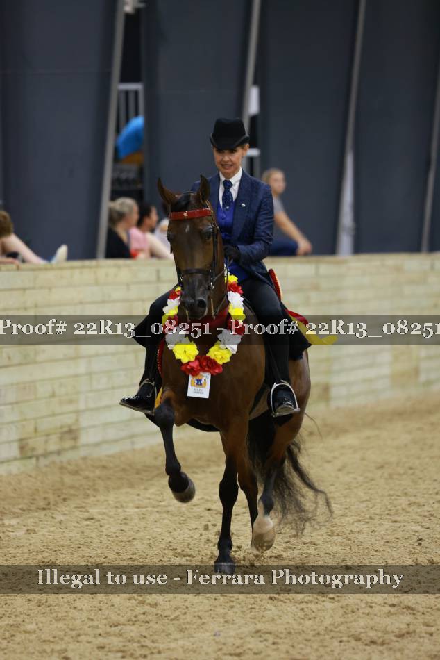 Proof 22R13_08251