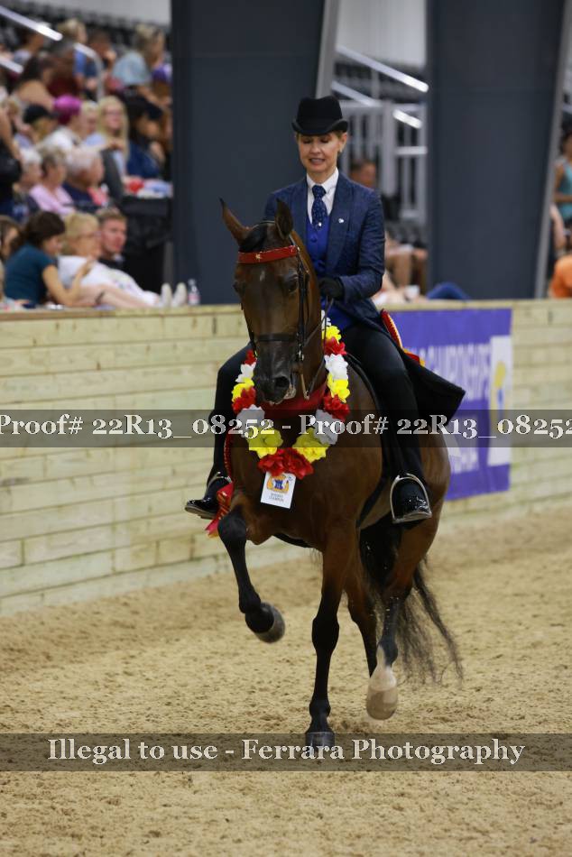 Proof 22R13_08252