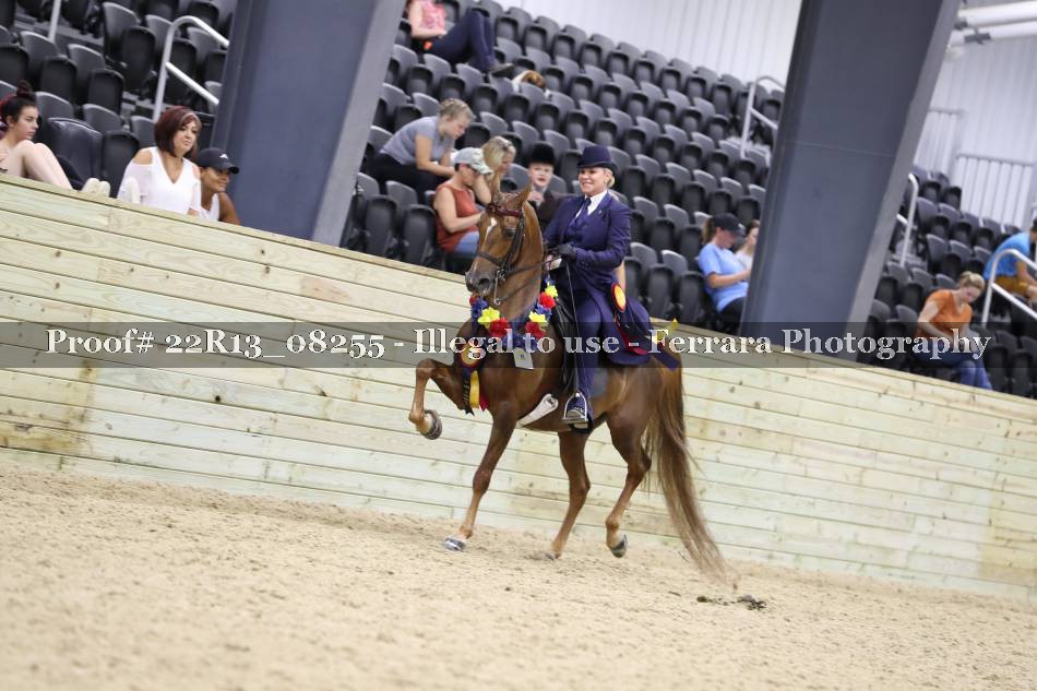 Proof 22R13_08255