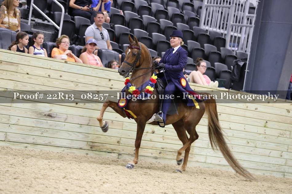 Proof 22R13_08257
