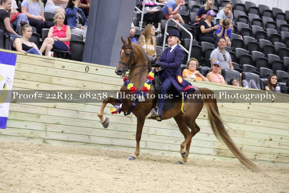 Proof 22R13_08258