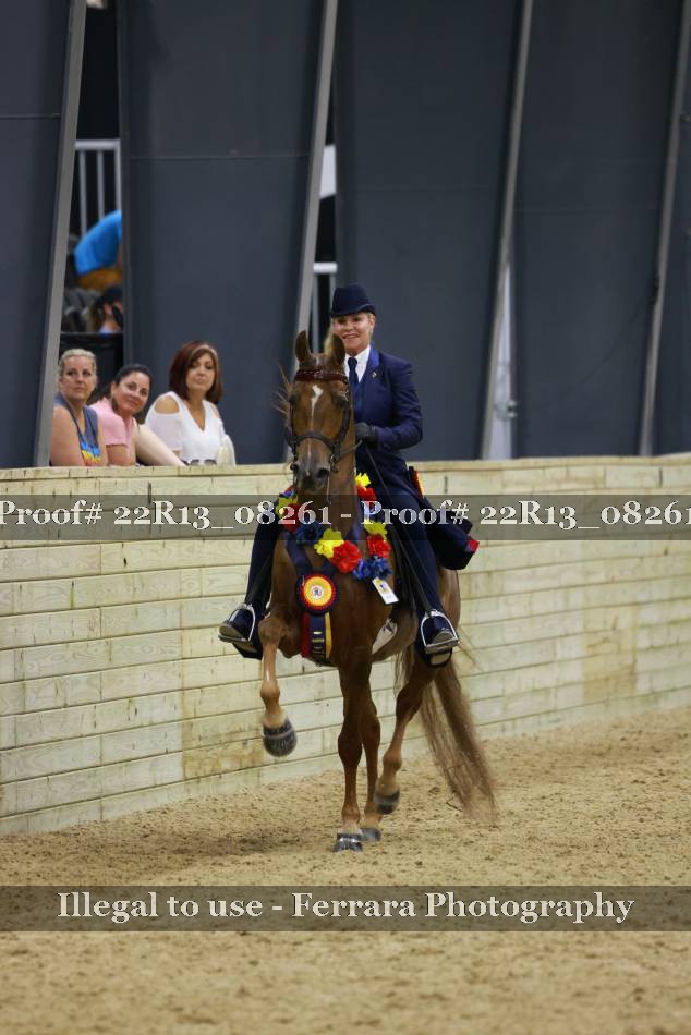 Proof 22R13_08261