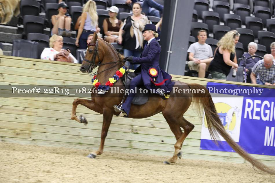 Proof 22R13_08262