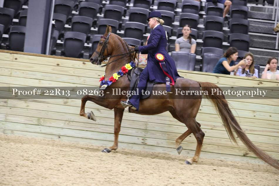 Proof 22R13_08263