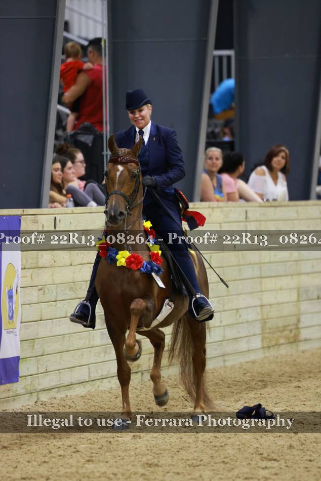 Proof 22R13_08264