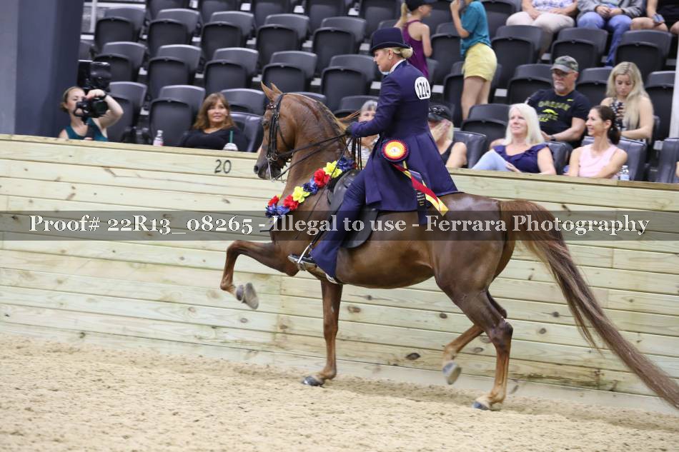 Proof 22R13_08265