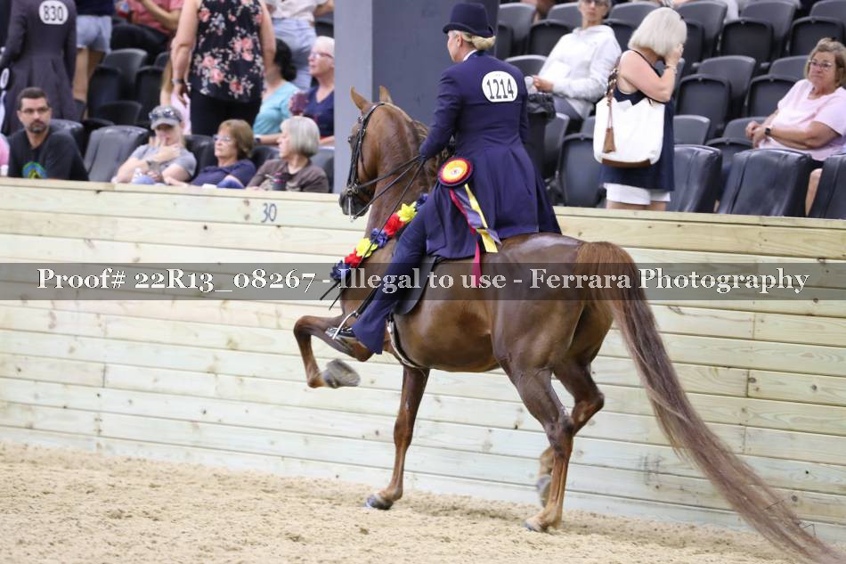 Proof 22R13_08267