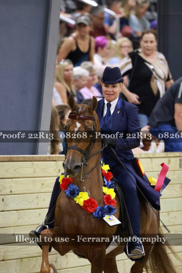 Proof 22R13_08268