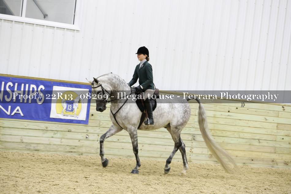 Proof 22R13_08269