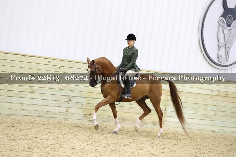Proof 22R13_08274