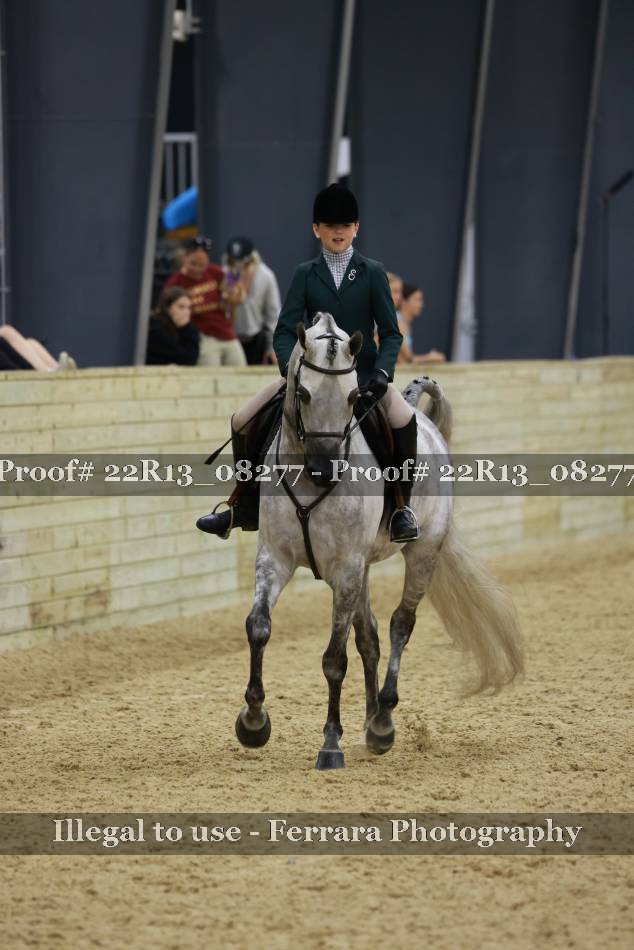 Proof 22R13_08277