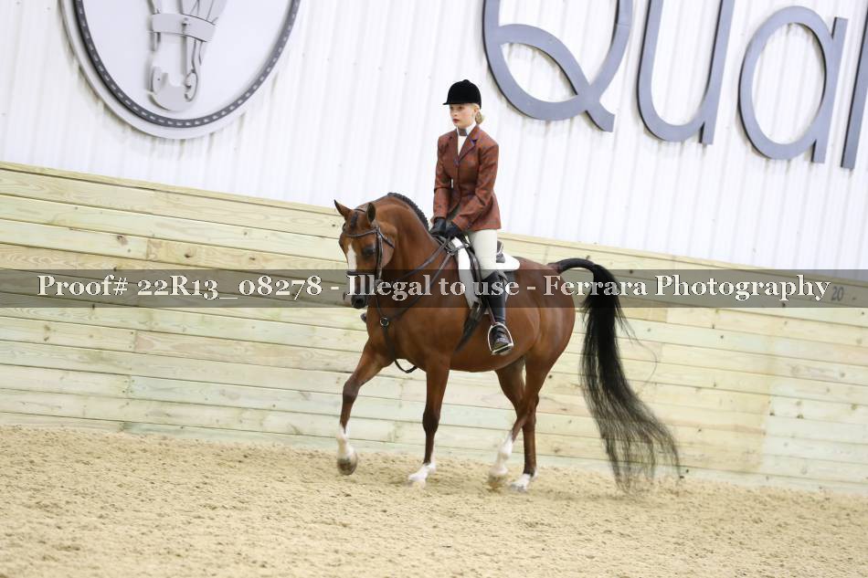 Proof 22R13_08278