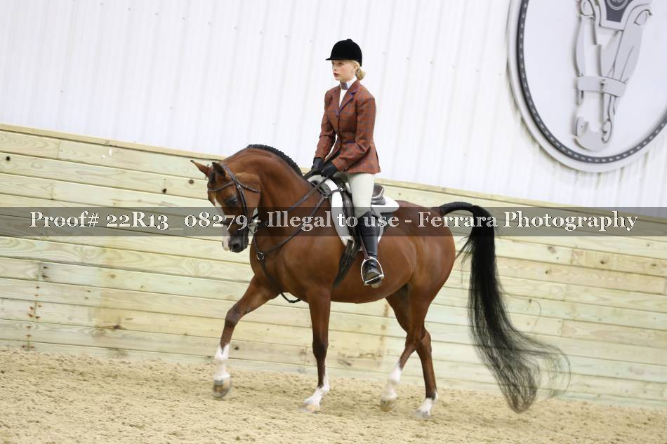 Proof 22R13_08279