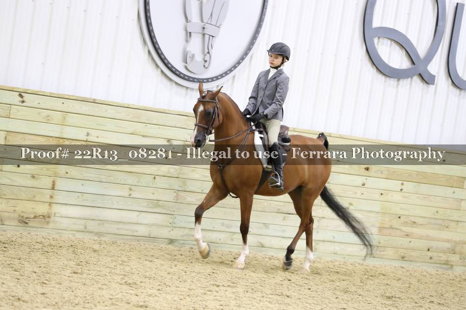 Proof 22R13_08281