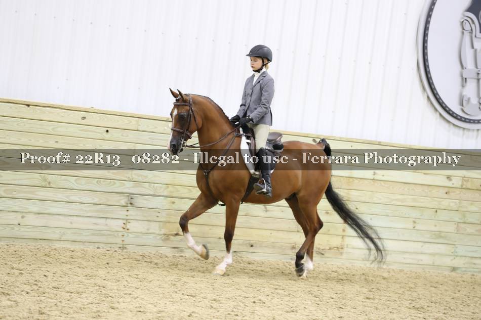 Proof 22R13_08282