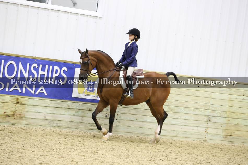 Proof 22R13_08284
