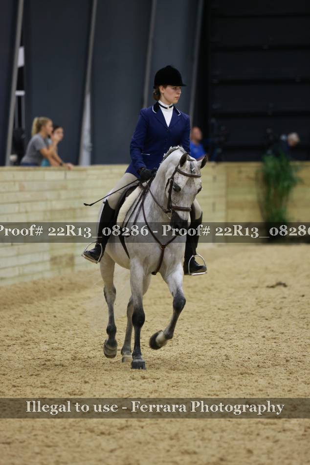 Proof 22R13_08286