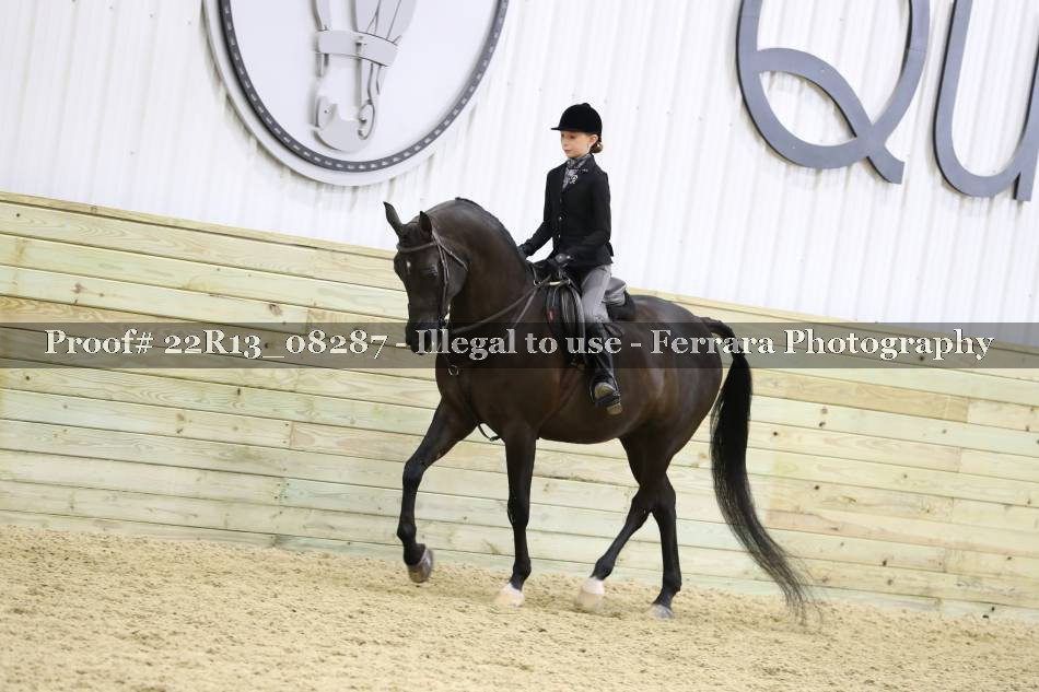 Proof 22R13_08287