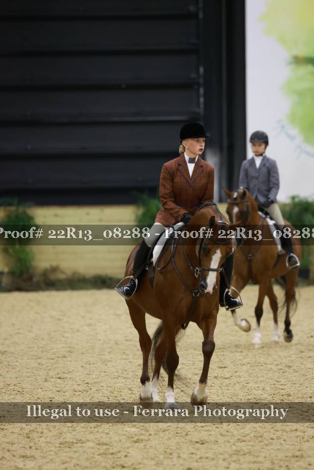 Proof 22R13_08288