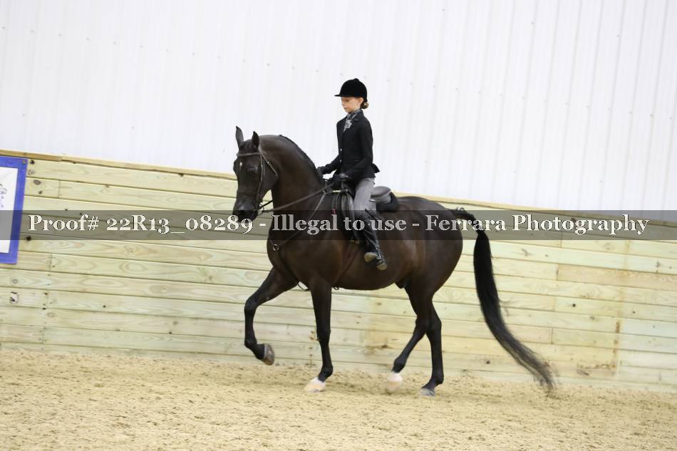 Proof 22R13_08289