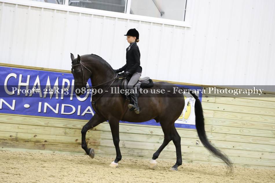 Proof 22R13_08290