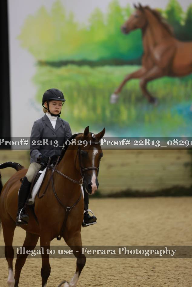 Proof 22R13_08291