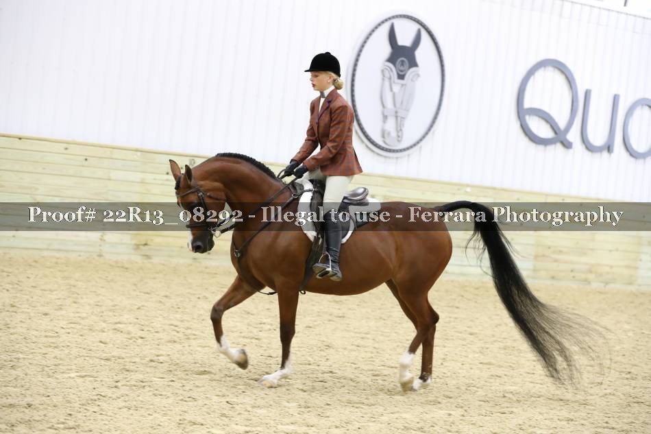 Proof 22R13_08292