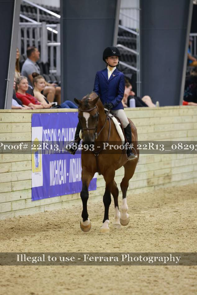 Proof 22R13_08293