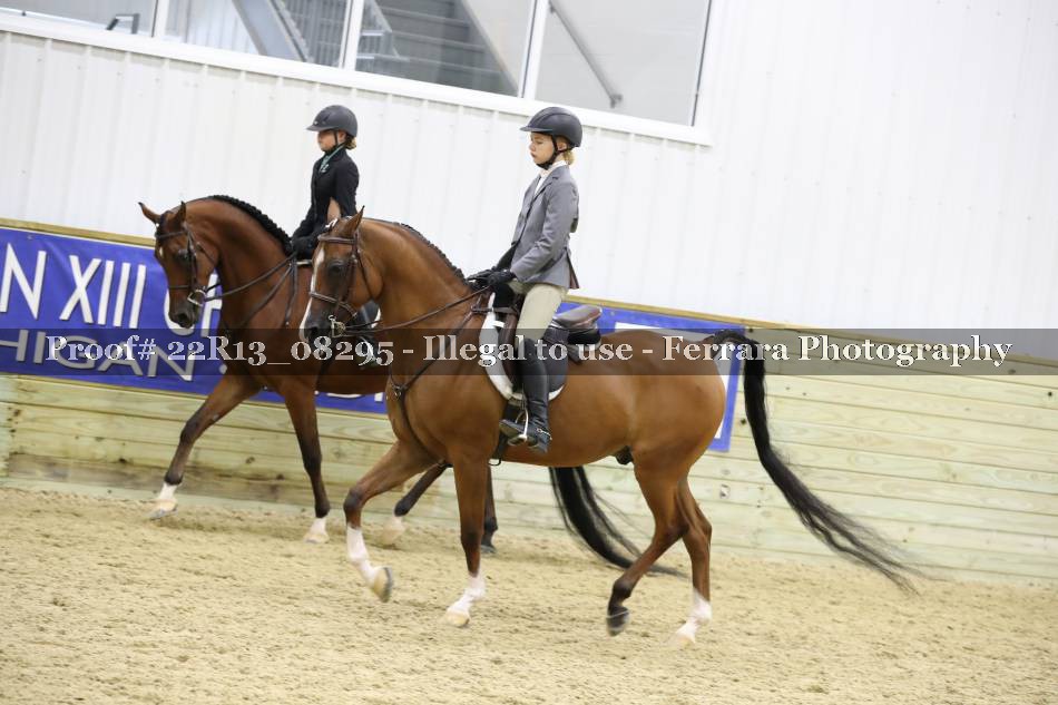 Proof 22R13_08295