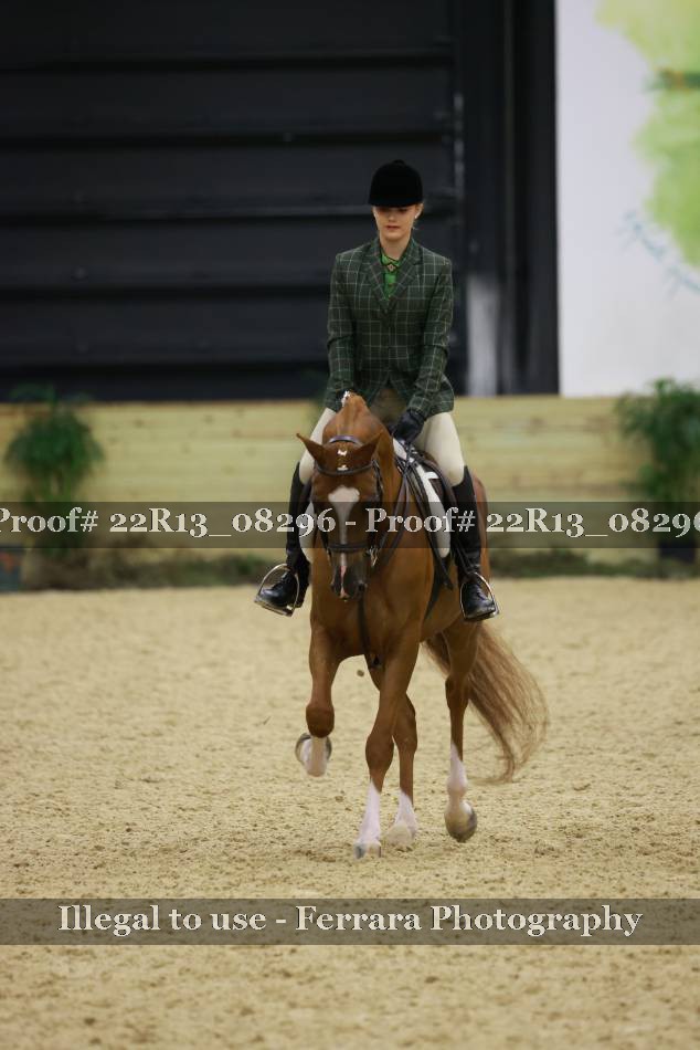 Proof 22R13_08296