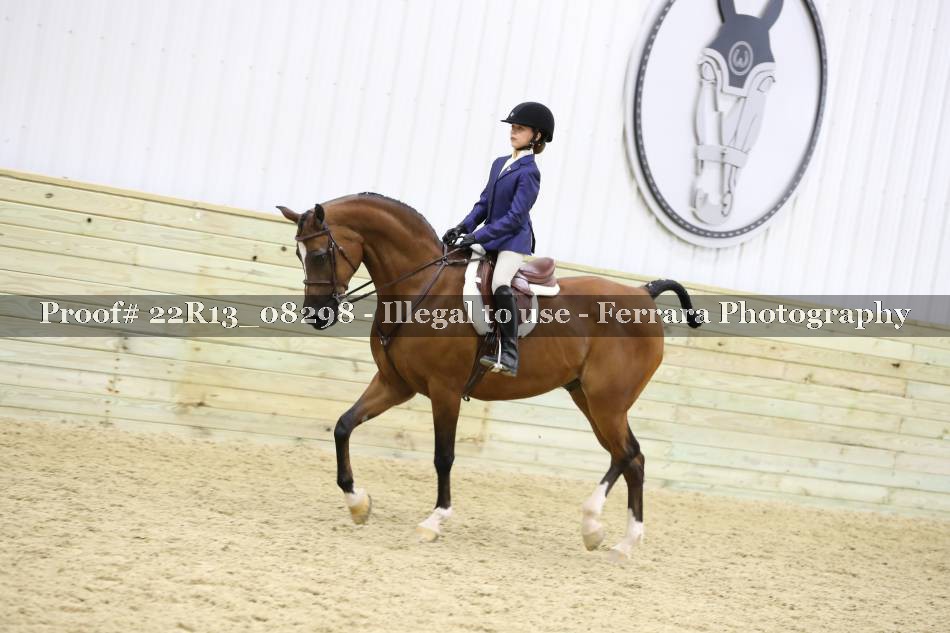 Proof 22R13_08298