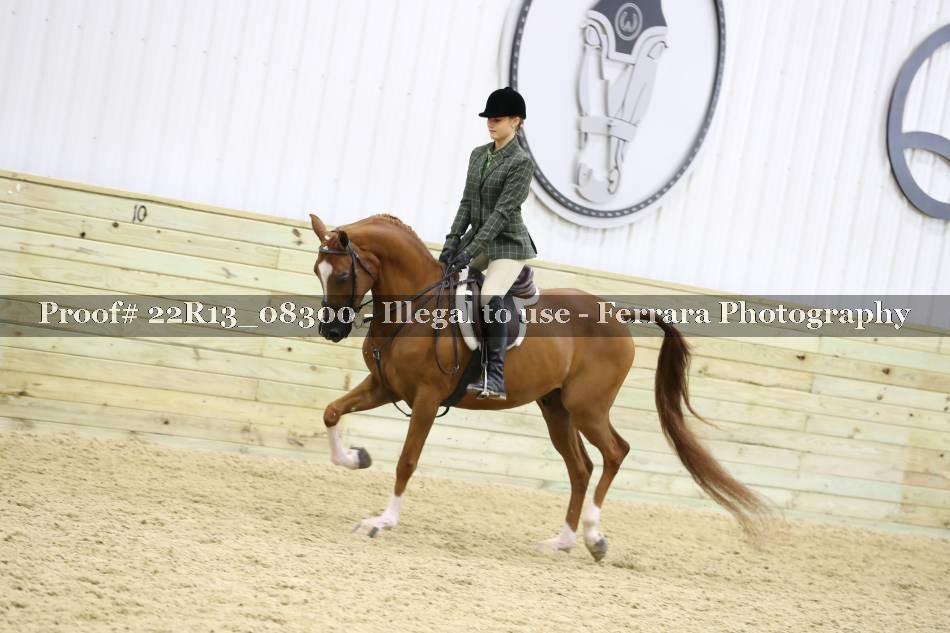Proof 22R13_08300