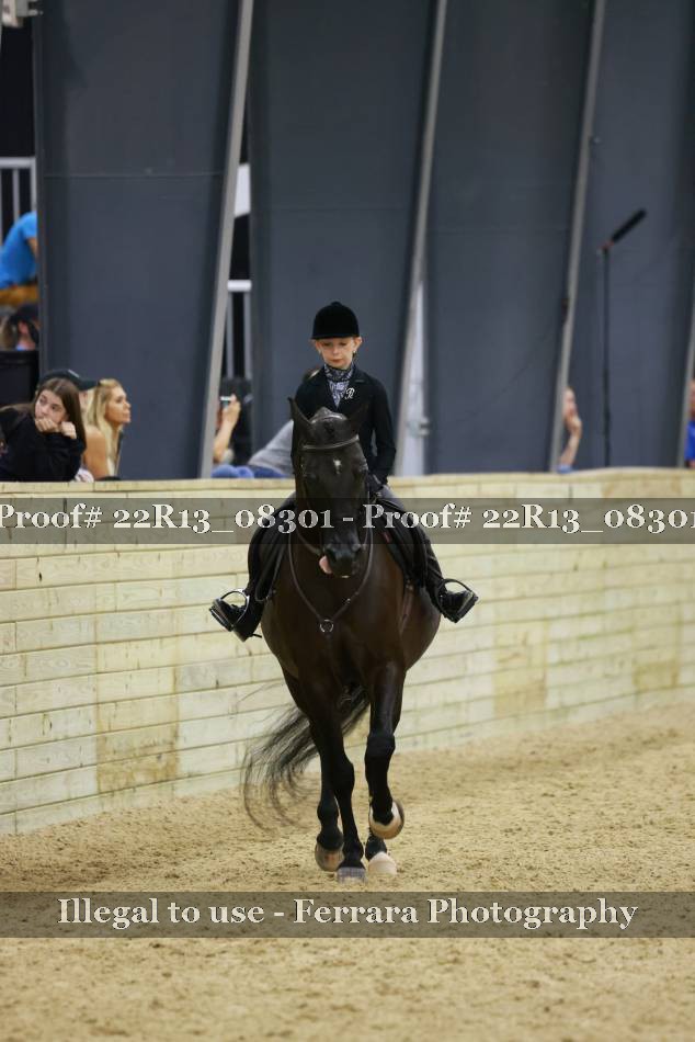 Proof 22R13_08301