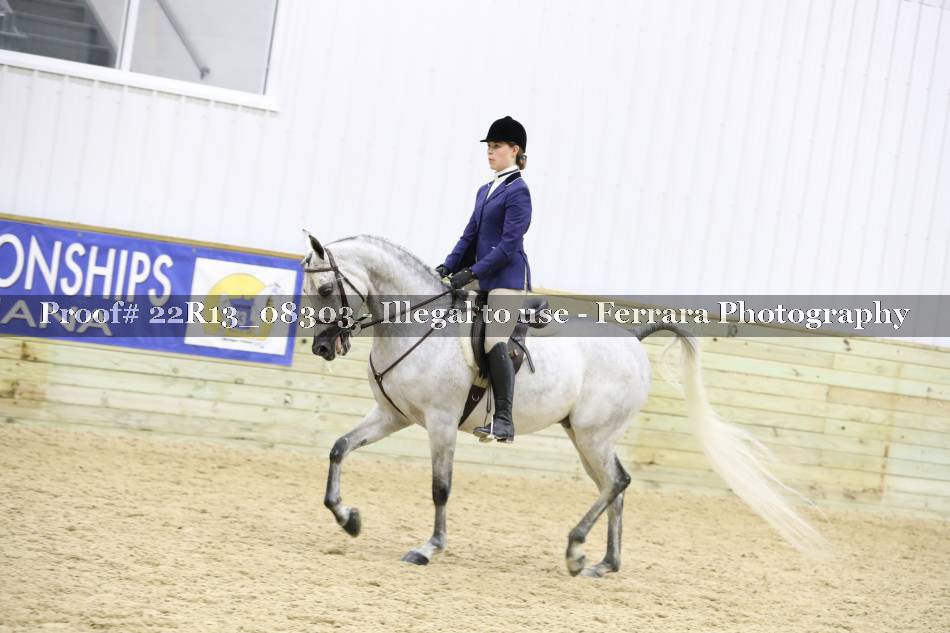 Proof 22R13_08303