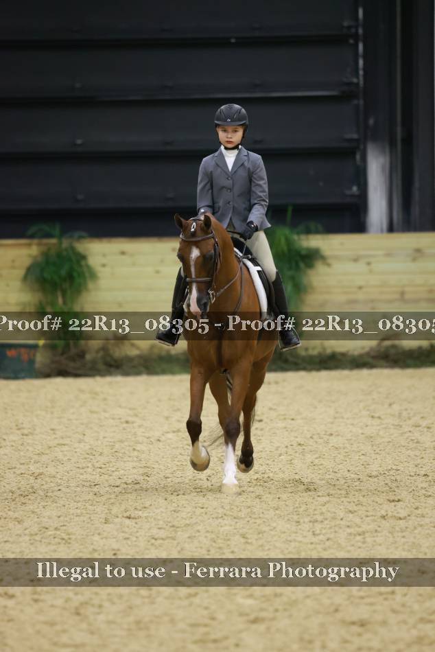 Proof 22R13_08305