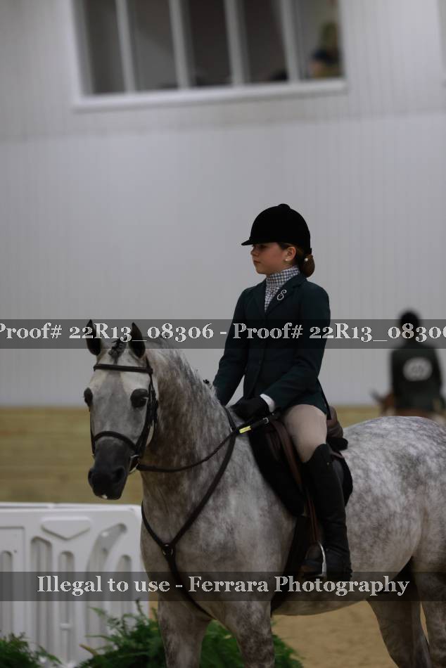 Proof 22R13_08306
