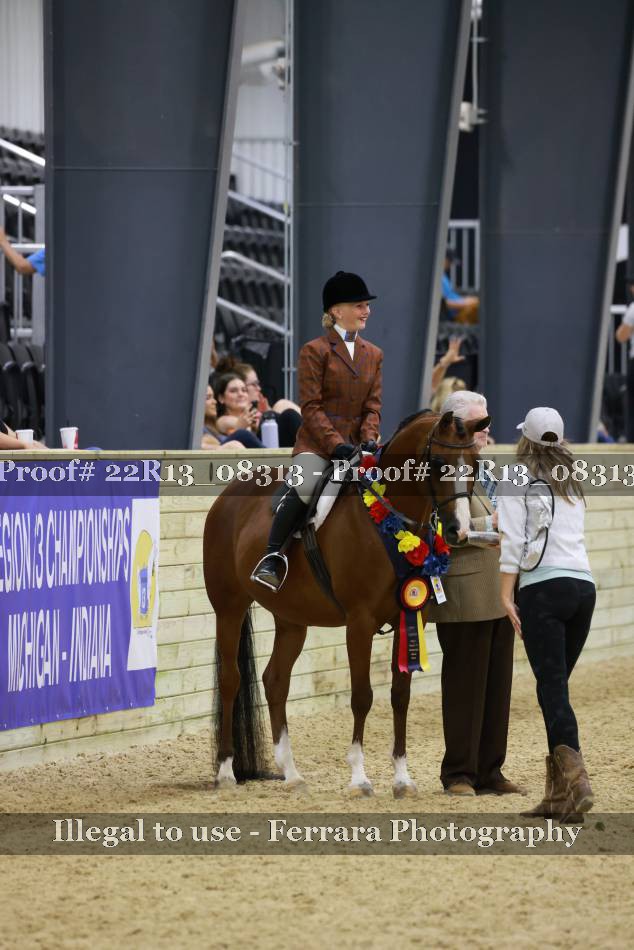 Proof 22R13_08313