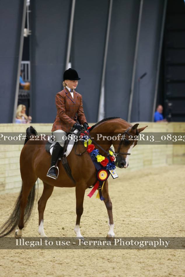 Proof 22R13_08323