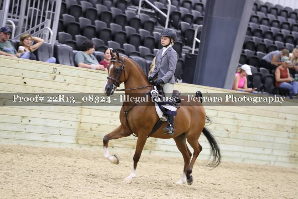 Proof 22R13_08324