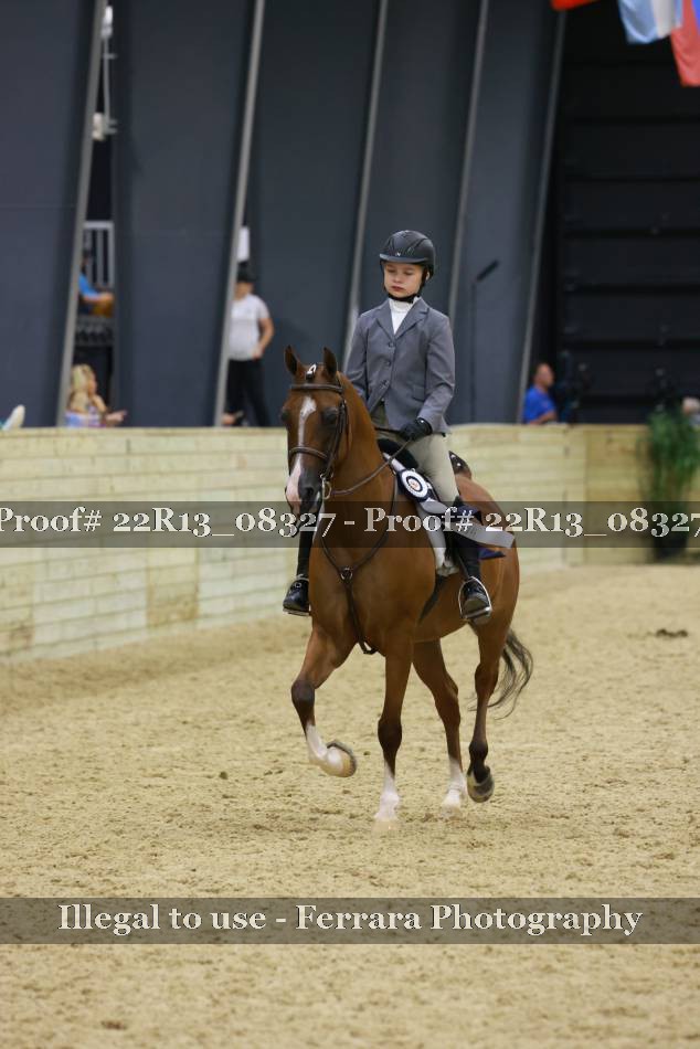Proof 22R13_08327