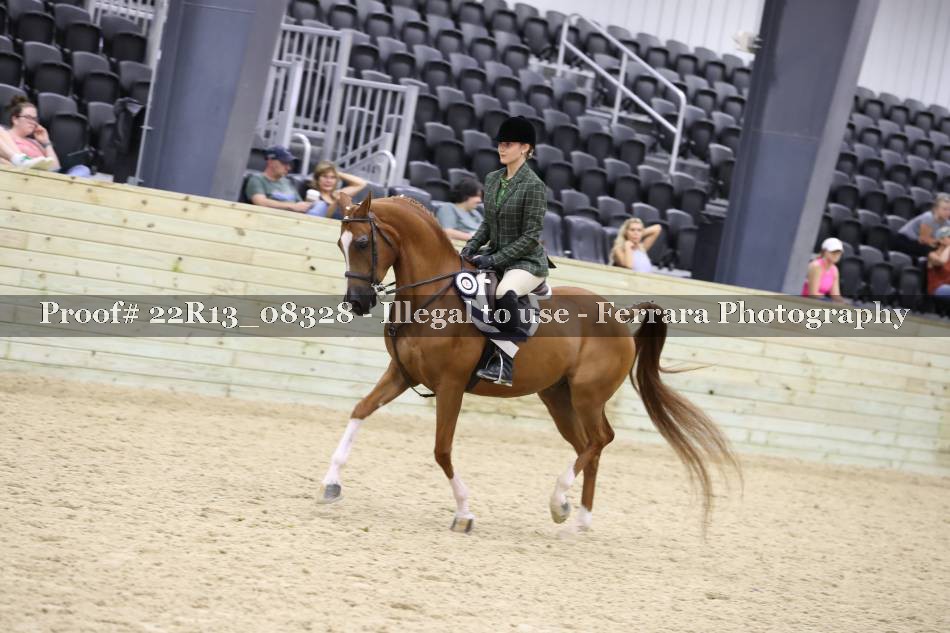 Proof 22R13_08328