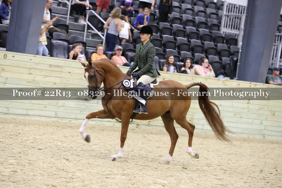 Proof 22R13_08329